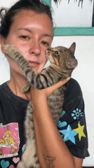 Cats and kittens at a tropical home in General Luna