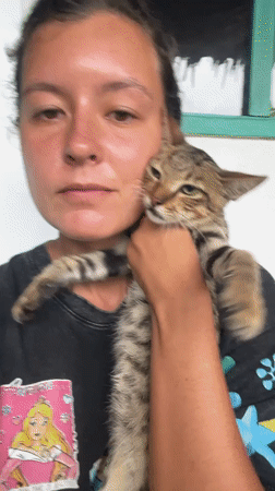 Cats and kittens at a tropical home in General Luna
