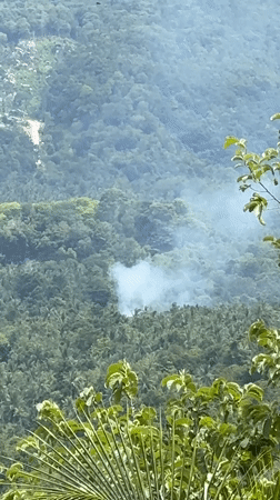Morning documentation of tropical landscape and vegetation in Thailand