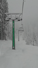 Heavy snowfall blankets Bansko ski resort, dog spotted