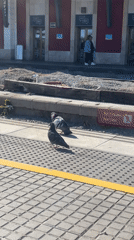 Everyday moments captured at Mataró train station