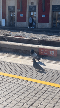 Everyday moments captured at Mataró train station