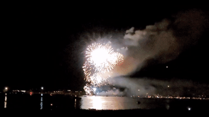 Fireworks light up the night sky over Rapperswil-Jona