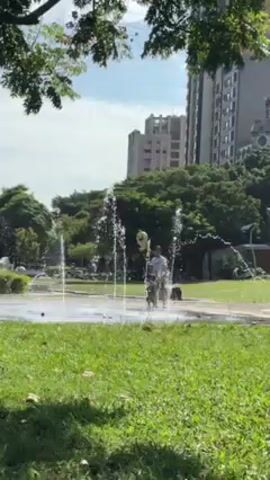 In a public park on a sunny day, a man and a child are playing in a fountain. The fountain consists of jets of water shooting vertically upwards. The man, wearing a white shirt and shorts, is holding a lime-green balloon. The child, dressed in dark clothing, is standing next to the man. The fountain is situated on a light-colored pavement surrounded by green grass. Trees and large apartment buildings can be seen in the background. The camera is positioned behind a tree, framing the scene through its branches.