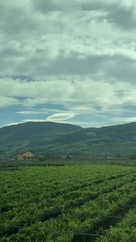 A vertical video displays a landscape as seen from a moving vehicle. In the foreground, lush green fields, possibly vineyards or orchards, dominate the lower portion of the frame. Beyond these fields, a solitary yellow house with a red roof stands against a backdrop of rolling green hills. The hills are covered in vegetation and appear to be terraced in some areas, suggesting agricultural use. In the distance, larger mountains rise, their peaks partially obscured by a dramatic sky filled with white and gray clouds. Two road signs are visible: the first, a triangular warning sign with a circular arrow, appears briefly on the left. The second, a larger blue directional sign with white lettering, is more prominent and indicates directions to "MEZZOLOMBARDO," "Val di Non," "ZAMBANA VECCHIA," and "ZAMBANA." The lighting suggests it is daytime, possibly late afternoon, with diffused sunlight filtering through the clouds. The overall impression is of a rural, picturesque landscape in a mountainous region.