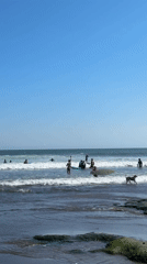 Morning beach scenes captured across North Kuta, Indonesia coastline
