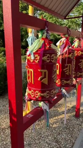 The video shows a close-up of several red Tibetan prayer wheels, adorned with gold lettering and decorative elements. The prayer wheels are hung on a red metal structure, possibly part of a Buddhist temple or stupa, given the location context of Elista, Russia. Colorful ribbons are tied to the top of each prayer wheel, fluttering in the breeze. The background reveals lush green trees and foliage, suggesting an outdoor setting during daylight. The lighting indicates it's likely daytime, with sunlight casting shadows and highlighting the details of the prayer wheels. The prayer wheels themselves are cylindrical, with intricate patterns and what appear to be Sanskrit or Tibetan script embossed in gold. One prayer wheel in the foreground is partially obscured by a hand, suggesting someone is interacting with or observing them. The overall impression is one of serene spirituality, characteristic of Buddhist practices. There are no discernible emotions conveyed, but the presence of the prayer wheels and their traditional adornments points to a religious or cultural context.