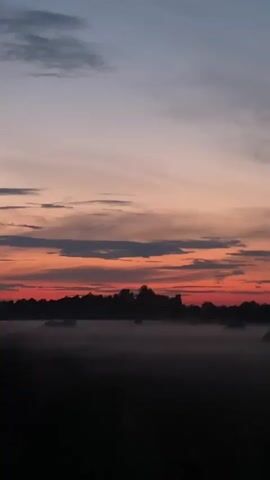 The media file depicts a serene natural landscape during what appears to be sunrise or sunset. The sky is a canvas of soft colors, transitioning from a pale blue at the top to vibrant oranges and reds near the horizon, streaked with wispy clouds. Below the sky, a silhouetted treeline forms a dark, undulating boundary against the colorful sky. A dense layer of fog or mist blankets the foreground, obscuring the ground and creating a dreamlike atmosphere. In the distance, amidst the treeline, there are faint lights, possibly indicating a distant settlement or vehicles. The overall mood is peaceful and tranquil, evoking a sense of calm and quietude. The time of day is clearly either dawn or dusk due to the dramatic sky colors and the presence of mist, which is common in cooler mornings or evenings. There is no visible text in the media file. The location context of Berkuty, Russia, suggests a rural or natural setting consistent with the imagery.