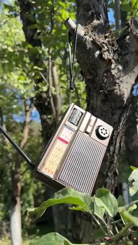 A close-up shot shows a vintage portable radio hanging from a tree branch outdoors. The radio is brown and has a silver speaker grill and tuning dial. The antenna is extended to the left. The background is filled with green leaves and dappled sunlight, suggesting a sunny day. The radio appears to be stationary.
