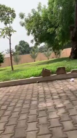 The camera, positioned at ground level, slowly pans across a parking area paved with rectangular bricks, bordered by a strip of grass. The scene is framed by green foliage from various trees and bushes, with the view extending to a light-orange wall in the background. The sky is overcast and bright. There are no visible people in the video.