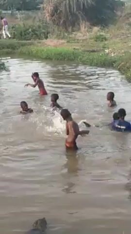 The scene shows a group of about ten young children swimming and playing in a shallow, murky river or stream. Most of the children are shirtless and appear to be enjoying themselves. The water is calm, with ripples created by their movements. The surrounding environment features green vegetation and a patch of dirt or sand along the riverbank. There is a person standing on the riverbank, partially out of frame, to the left of the children.