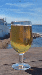 Mediterranean lunch documented at Dénia waterfront restaurant