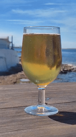 Mediterranean lunch documented at Dénia waterfront restaurant