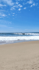 Morning beach activity documented at Arugam Bay surf spot