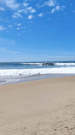 Morning beach activity documented at Arugam Bay surf spot