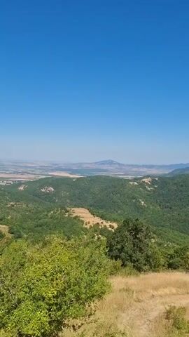 The video shows a panoramic view of a hilly, forested landscape under a clear blue sky. The foreground features dry, yellow grass and green bushes. The midground consists of rolling hills covered in dense green trees. In the distance, a vast, flat plain stretches out, dotted with agricultural fields and a body of water. Mountains are visible on the horizon. The scene appears to be a natural landscape on a sunny day. There are no people or man-made structures directly visible in the frame.