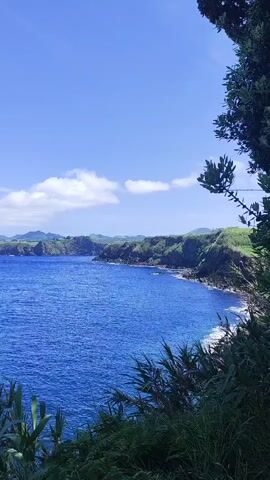 A static shot captures a vast, deep blue ocean under a clear sky with sparse white clouds. The coastline is visible in the distance, characterized by green, rolling hills and rocky outcrops. In the foreground, lush green foliage and plants partially obscure the view of the ocean and land. The lighting suggests it is daytime, with the sun illuminating the scene and creating a vibrant, natural landscape.