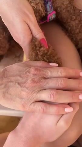 The video shows a close-up view of a person's hands interacting with a brown poodle's paw. The poodle has curly fur and is wearing a colorful collar with purple, pink, and teal accents. One person's hand, with bright pink nail polish, is holding the poodle's paw. Another person's hands are visible resting on their legs, which appear to be bare. The skin tone suggests fair to light complexion.

The scene seems to be outdoors, possibly in a relaxed setting. There are faint hints of a light-colored surface or object in the background, along with some wooden elements. The lighting is bright, indicating it might be daytime. The overall mood appears to be one of gentle interaction and affection between the person and the dog. No text is visible in the video. The location context provided is Yelyzavetivka, Ukraine, which aligns with a potential outdoor setting.