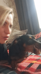 Morning snapshots captured across Elektrostal include pets, pigeons, social posts