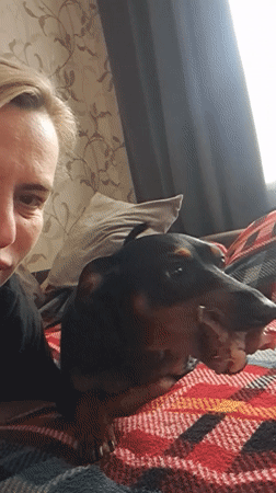 Morning snapshots captured across Elektrostal include pets, pigeons, social posts