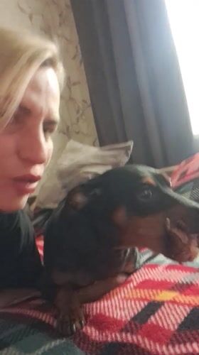 Morning snapshots captured across Elektrostal include pets, pigeons, social posts