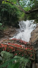 Early morning visit documented at Datanla Waterfall park, Da Lat