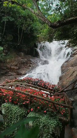 Early morning visit documented at Datanla Waterfall park, Da Lat