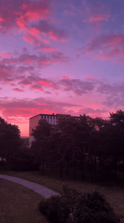 Pink and purple sunset sky over a silhouetted modern building