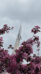 Spring morning scenes captured at VDNKh park in Moscow