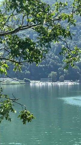 The video shows a calm, turquoise lake with a forest-covered mountain in the background. Green tree branches hang into the frame from the top left and bottom left, obscuring parts of the view. Along the shoreline, there are a few buildings and several white boats docked. The water is clear, and sunlight reflects off its surface, creating shimmering patterns. The sky is a clear blue. The camera appears to be stationary, looking out over the lake.
