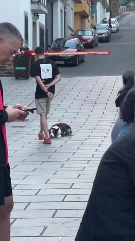 A man in a black jacket with red trim and black shorts stands on a paved walkway, looking at his phone. A brown and white dog lies on the ground in front of him. A young man in a black t-shirt and tan shorts stands further down the walkway, with his back to the camera. Cars are parked on a street behind them, and a red barrier is visible.