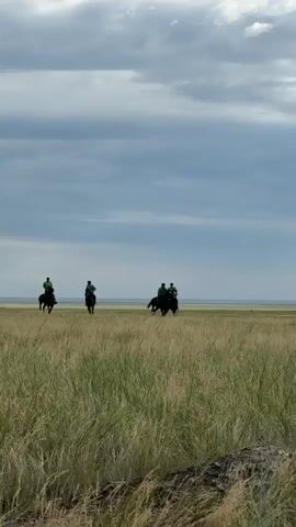 This is a vertical, wide-angle video clip filmed on a cloudy day in Öndiris, Kazakhstan. The scene features a vast, flat grassland with tall, dry grass dominating the foreground and midground. In the distance, a very faint horizon line suggests a large body of water, possibly a lake, or just a very open plain. The sky is filled with dramatic, heavy clouds, indicating overcast or potentially stormy weather.

The main subjects are a group of five riders on horseback, spread out across the midground of the frame. They are all silhouetted against the sky, wearing what appear to be green tops. The horses are dark in color. The riders are moving from left to right across the frame. Their posture suggests they are trotting or cantering, engaged in some form of equestrian activity.

The overall mood is one of open space and perhaps a sense of adventure or exploration. The vastness of the landscape and the solitary figures on horseback create a feeling of isolation and connection with nature. The time of day is not explicitly clear, but the overcast sky suggests it is likely daytime, perhaps late afternoon given the quality of light. There is no visible text in the video clip.