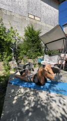 Morning outdoor fitness session observed in Baranovka, Russia