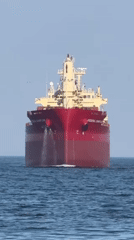 Cargo Ships Transit Varna Port During Afternoon Maritime Activity