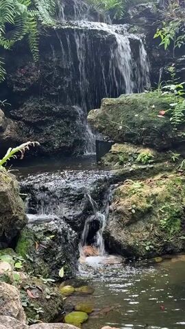A serene cascade of water flows over moss-covered rocks, surrounded by lush green foliage. The water tumbles down in two tiers, creating a gentle waterfall effect. The scene is bathed in natural light, highlighting the textures of the rocks and the vibrant green of the plants. The overall atmosphere is peaceful and tranquil.