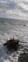 Coastal afternoon documented along New Athos Black Sea shoreline