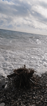 Coastal afternoon documented along New Athos Black Sea shoreline