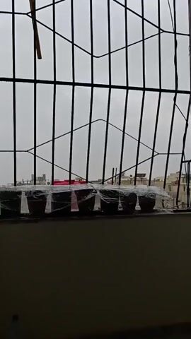 The video shows a row of small flower pots on a ledge viewed through a window with a metal grill. The pots are covered with transparent plastic wrap and are wet from the rain. Outside, the sky is overcast and gray, and the tops of buildings are visible in the distance. The overall scene is still and quiet, conveying a sense of a rainy day indoors.