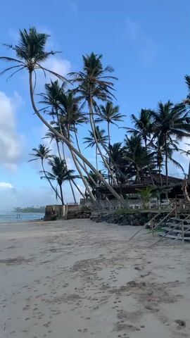 The video shows a beach with palm trees and the ocean. The sand is light brown and there are footprints on it. The ocean waves are breaking on the shore. The sky is blue with some white clouds. There is a building or structure partially visible behind the palm trees on the right side of the frame, with stairs leading up to it. In the distance, on the beach, there are two people walking.