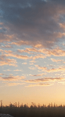 Sunset documented over Russian treeline May 7