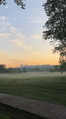 Morning mist walk documented in Krasnoyarsk park