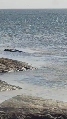 A video shows a body of water with several rocks in the foreground. The water is choppy and reflects the sunlight. In the distance, there is a faint line of the horizon, and a few small dark objects are visible on the water. The sky is a pale, hazy color.
