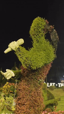 Da Lat's flower park and lakeside at night