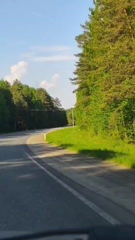 The video shows a car driving on a paved, winding road through a forested area. The road is gray, with a white line dividing the lanes. Tall green trees line both sides of the road, and there is green grass along the shoulders. In the distance, a tall white and red striped tower is visible. The sky is blue with some scattered white clouds. The video is taken from the perspective of the driver inside the car.