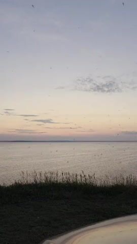 A vertical, medium shot captures a serene seascape at dusk. The sky transitions from a pale lilac at the horizon to a soft grey overhead, with wispy clouds dotting the upper atmosphere. A gentle gradient of pink and orange hues suggests the sun has recently set. Below the sky, a calm body of water stretches to the horizon, reflecting the muted colors of the sky. The water's surface is slightly rippled, with faint lines suggesting movement or very light rain. In the foreground, a strip of dark green grass and tall, dry reeds form a natural border along the edge of a rise. The lower right corner of the frame shows a curved, reflective surface, possibly the hood of a car, with some out-of-focus spots appearing as bright, blurred orbs against the scene. The overall atmosphere is tranquil and slightly melancholic.