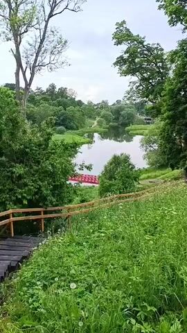 The video shows a lush green landscape with a lake in the background. A wooden staircase with a railing leads down from the foreground, which is covered in tall grass and dandelions. A red bridge with white railings is visible across the lake. Trees and foliage surround the lake, and the sky is overcast. The scene appears to be a park or natural area.