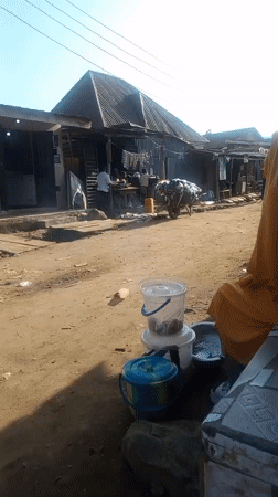 Daily life scenes documented across Abuja neighborhoods