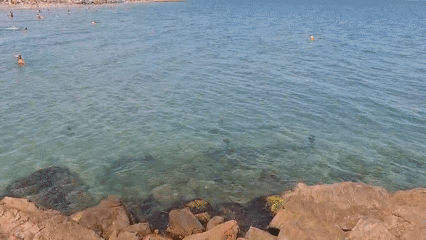 Pomorie beach in full summer swing, rocks to shoreline