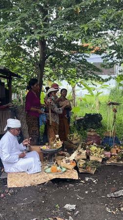 Religious ceremony and owl mural witnessed in Sukawati