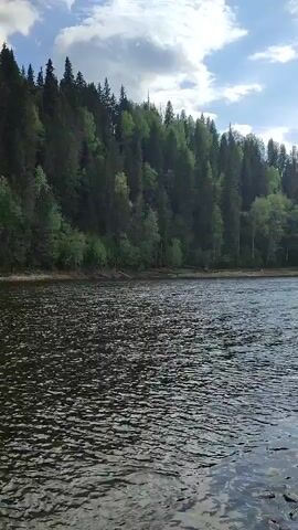 The video shows a body of water, possibly a river, with a forest on the bank in the background. The water is dark and has ripples on the surface. The sky is partly cloudy.